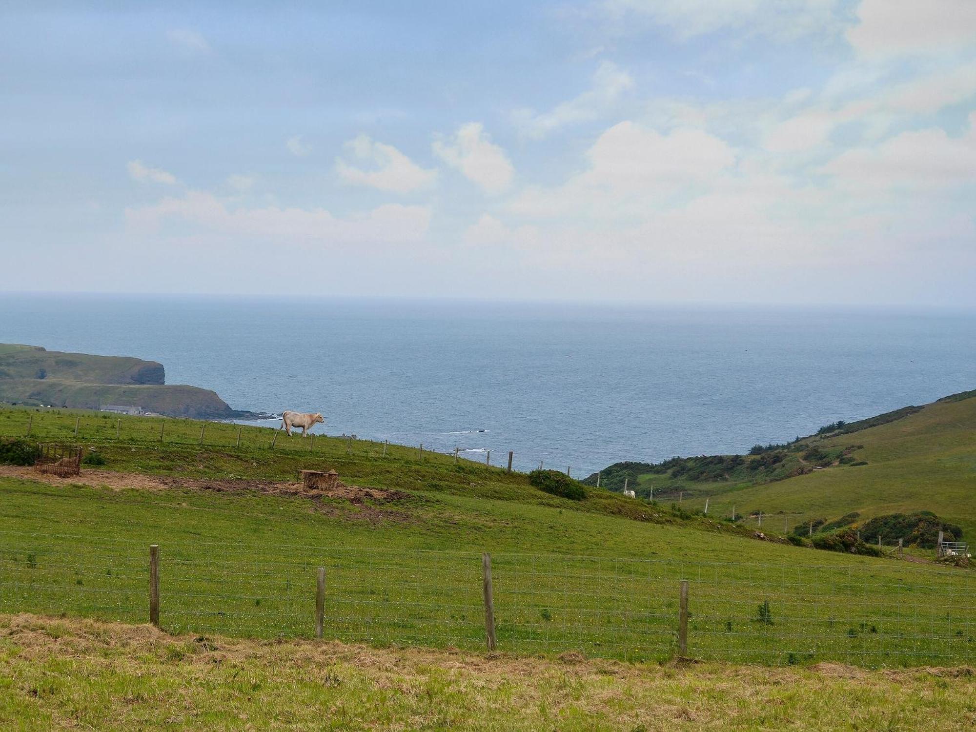 Auchmedden Cottage Pennan Exterior foto